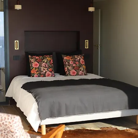 Retine Ajaccio (Corsica)